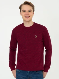 Свитры и кардиганы US Polo модель G081GL082.000.1260124.VR014 Фото