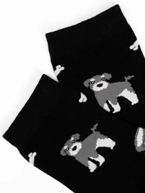 Носки и гольфы ISSA Plus модель NS-275_black Фото