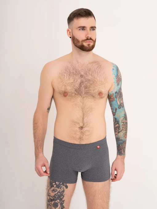 Нижня білизна ISSA Plus модель GN5-169_grey Фото