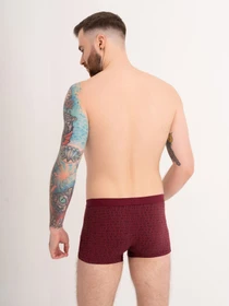 Нижня білизна ISSA Plus модель GN5-170_burgundy Фото
