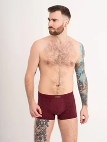 Нижня білизна ISSA Plus модель GN5-170_burgundy Фото