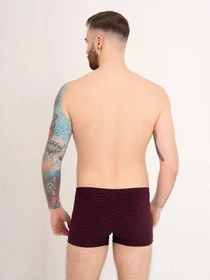 Нижнее белье ISSA Plus модель GN5-171_burgundy Фото