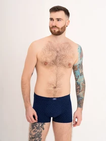 Нижнее белье ISSA Plus модель GN5-171_blue Фото