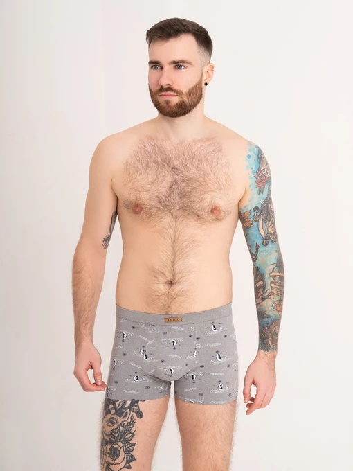 Нижнее белье ISSA Plus модель GN5-180_grey Фото
