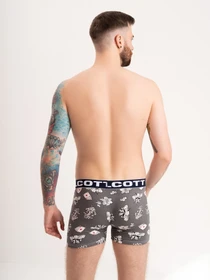 Нижня білизна ISSA Plus модель GN5-187_grey Фото