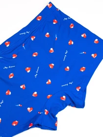 Нижнее белье ISSA Plus модель GN5-183_blue Фото