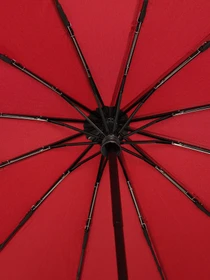 Зонты Monsen модель CV12324r-red Фото