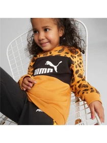 Худи и свитшоты PUMA модель 673347 Фото