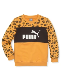 Худи и свитшоты PUMA модель 673347 Фото