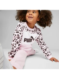 Худи и свитшоты PUMA модель 673347 Фото