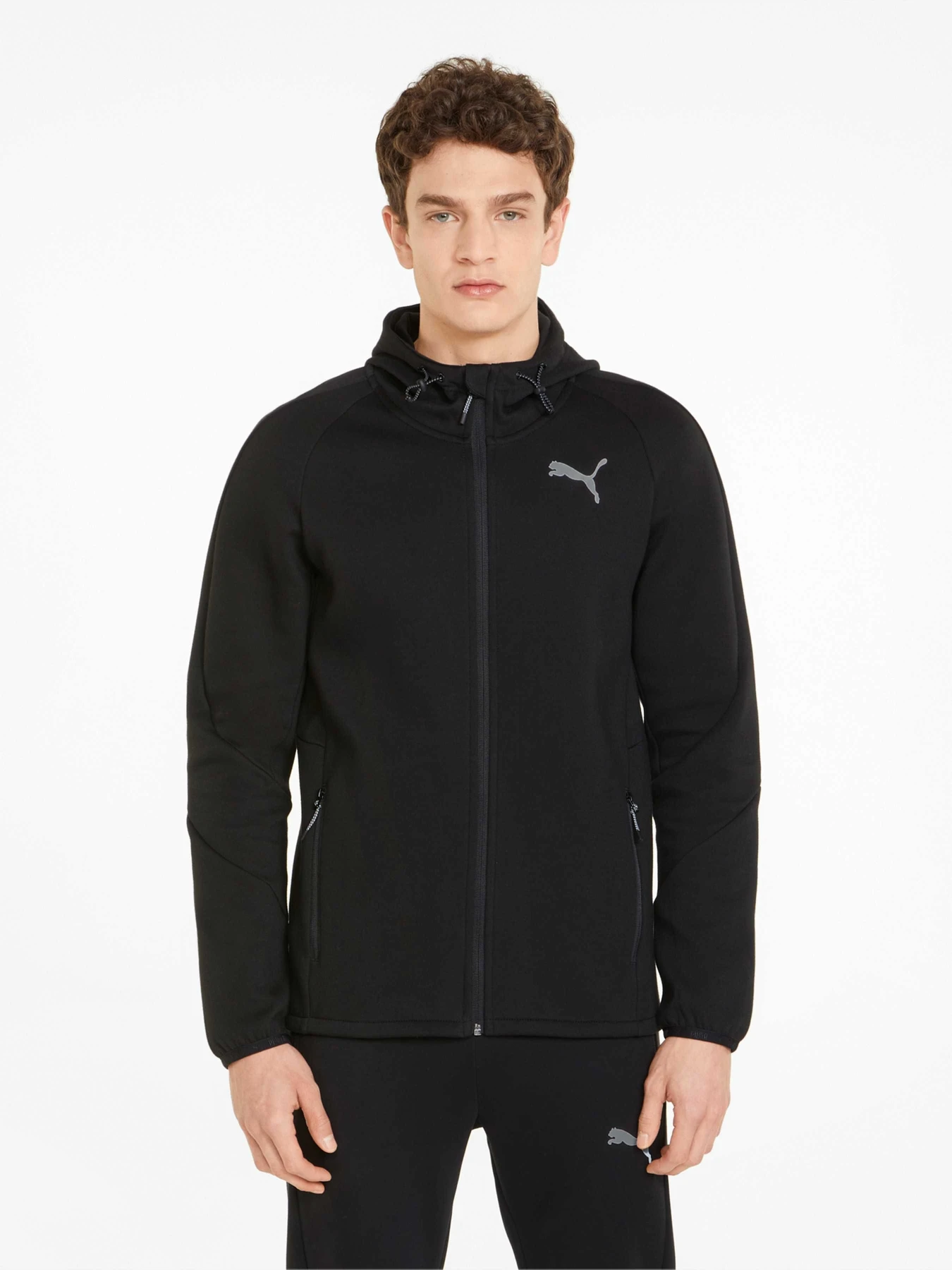 Куртки и дубленки PUMA Evostripe Full-zip Hoodie модель 847401 Куртки и дубленки PUMA Evostripe Full-zip Hoodie модель 847401 Фото