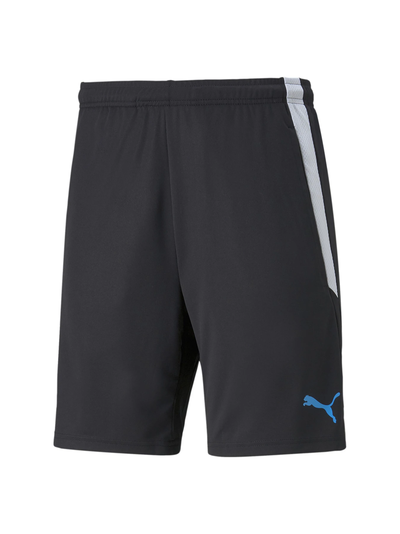 Шорти PUMA Teamliga Training Shorts 2 модель 657667 Фото