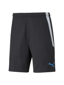 Шорти PUMA Teamliga Training Shorts 2 модель 657667 Фото