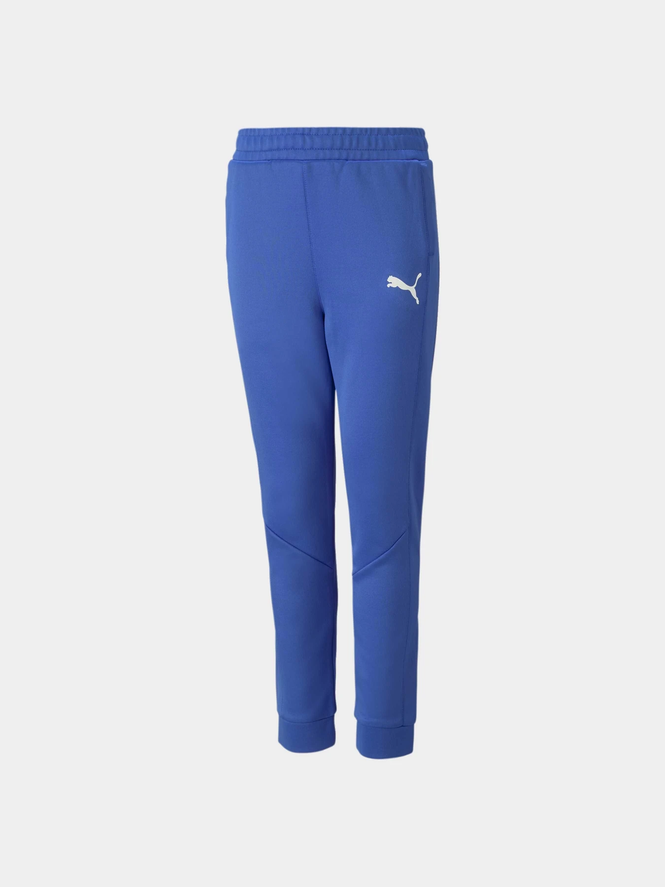 Брюки PUMA Fit Pants модель 673200 Фото