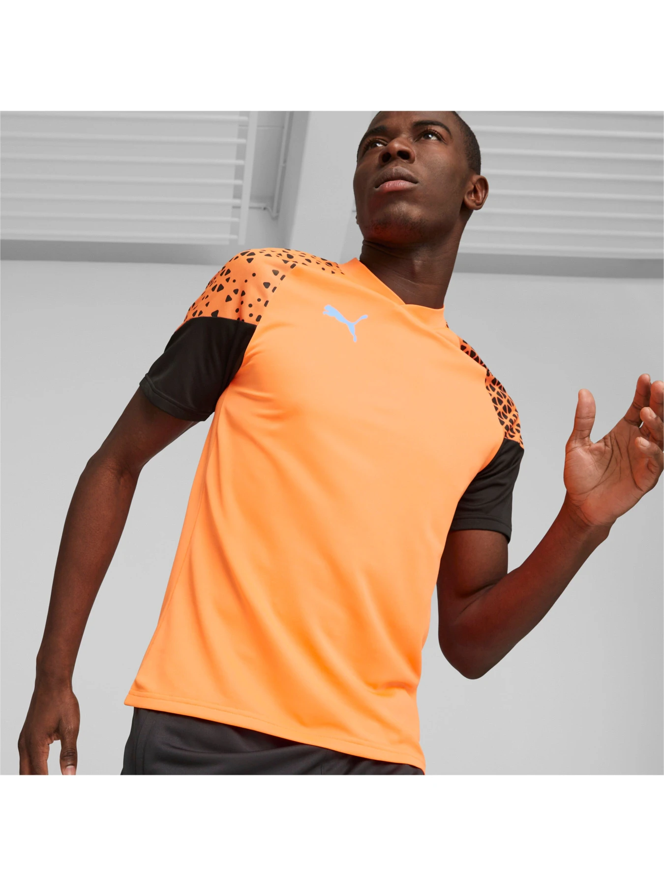 Футболки і поло PUMA individualCUP Jersey модель 658289 Футболки і поло PUMA individualCUP Jersey модель 658289 Фото