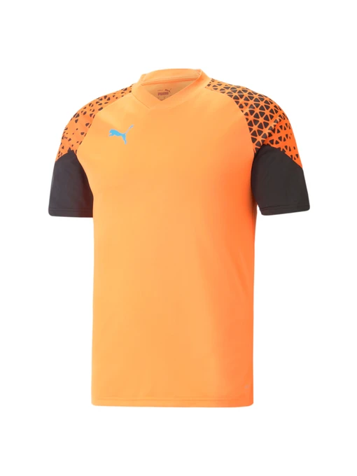 Футболки і поло PUMA individualCUP Jersey модель 658289 Фото