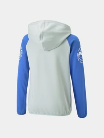 Худи и свитшоты PUMA Active Sports Fullzip Hoodie модель 673206 Фото