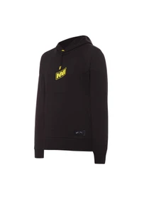 Худи и свитшоты PUMA Navi Gaming Hoodie модель 538029 Фото