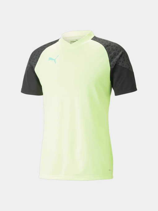 Футболки и поло PUMA Individualcup Jersey модель 658289 Фото