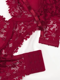 Нижнее белье ISSA Plus модель BL2-683_burgundy Фото