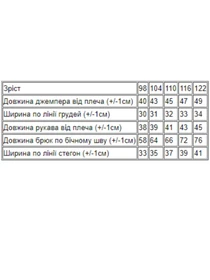 Одежда для дома и сна Носи своє модель 6076-008-33-4-bryuzovij Фото