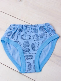 Нижнее белье Носи своє модель 272-002V-zhachki-blakitnij Фото