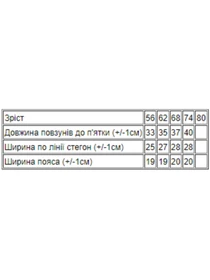Одежда для младенцев Носи своє модель 5034-024-5-kicq-sinq-na-blomu Фото