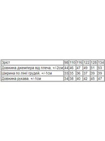 Худи и свитшоты Носи своє модель 6069-055-5-sova Фото