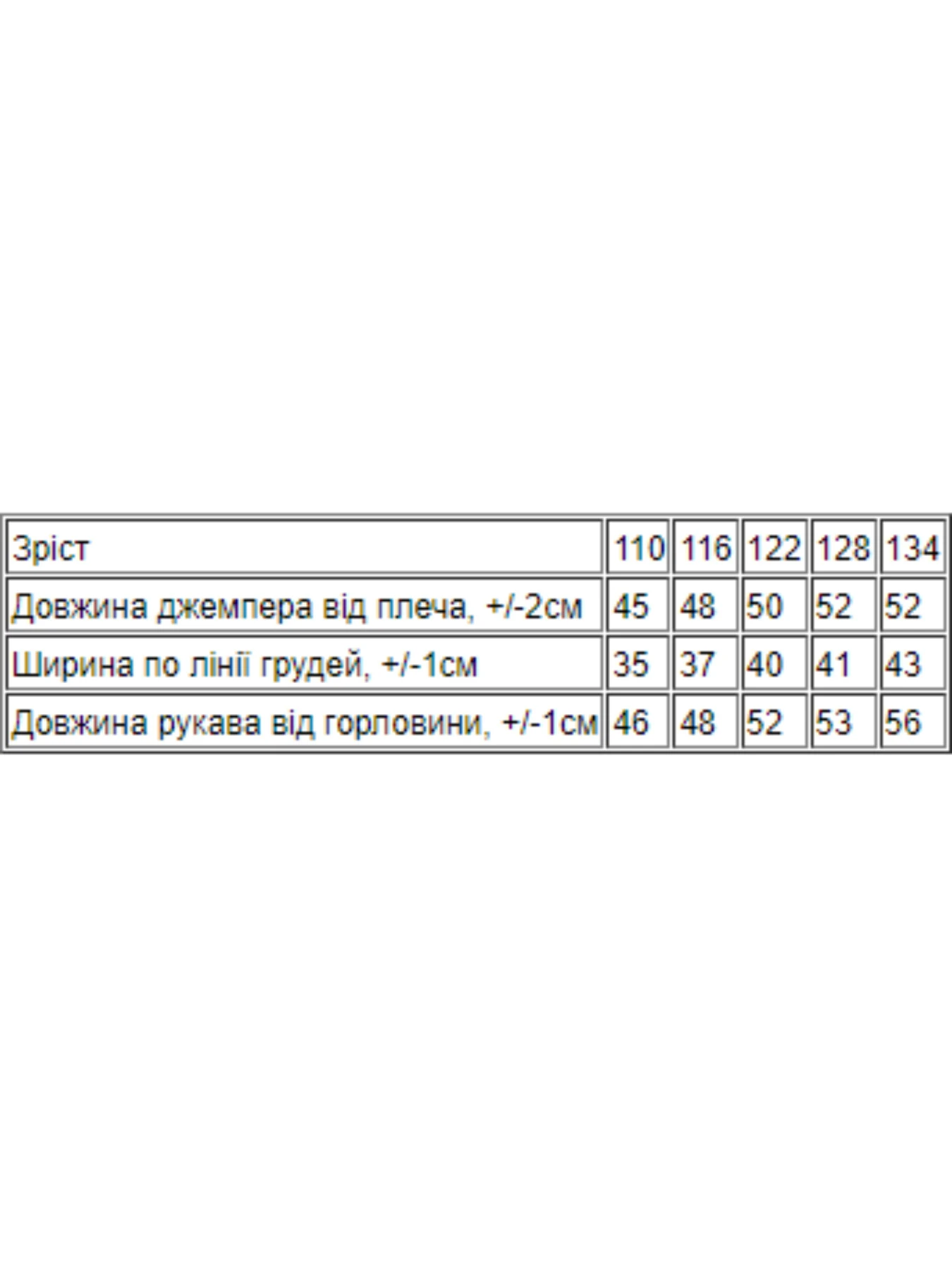 Худі та світшоти Носи своє модель 6226-057-4-elektrik Фото