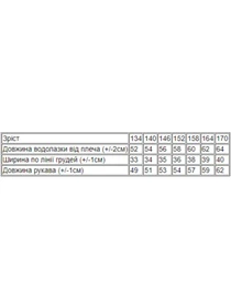 Светри та кардигани Носи своє модель 6238-019-1-sro-sinj Фото