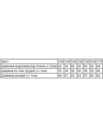 Светри та кардигани Носи своє модель 6238-019-2-popelqsta-troqnda Фото