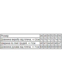 Светри та кардигани Носи своє модель 8095-019-1-antracit Фото
