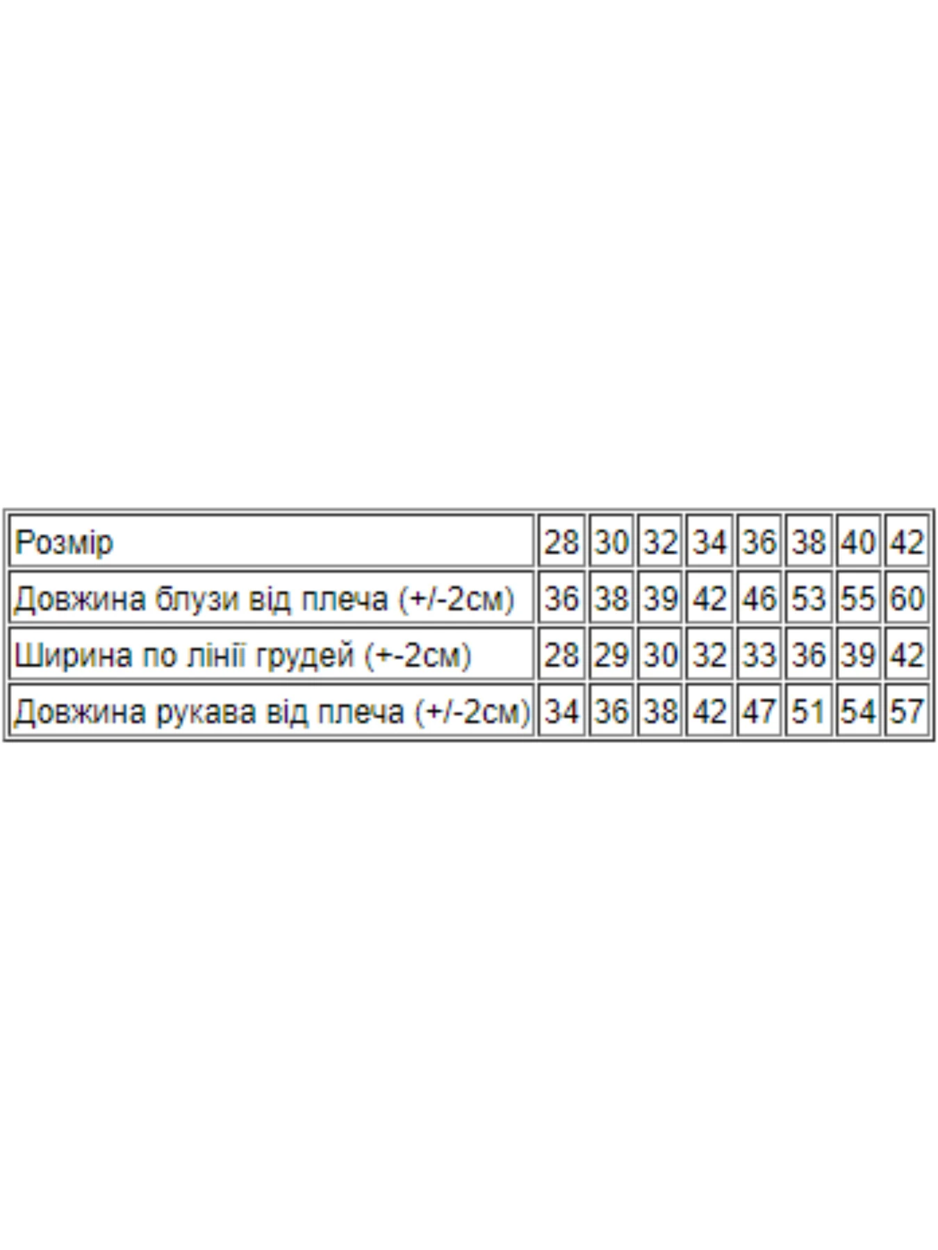 Сорочки Носи своє модель 9267-036-33-sinj Сорочки Носи своє модель 9267-036-33-sinj Фото