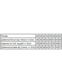 Сорочки Носи своє модель 9267-036-33-sinj Фото