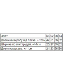 Одежда для младенцев Носи своє модель 9764-034-22-4-burshtin Фото