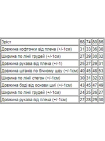 Одежда для младенцев Носи своє модель 5055-016-33-4-smuzhka-elektrik Фото