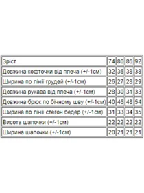 Одежда для младенцев Носи своє модель 5064-4-tigr Фото