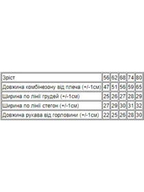 Одяг для немовлят Носи своє модель 9872-002-4-mashinka-blak Фото