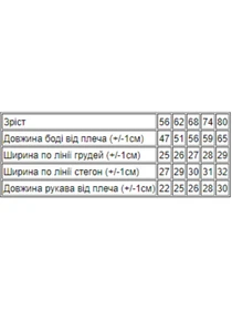 Одежда для младенцев Носи своє модель 5058-001-blakitnij Фото