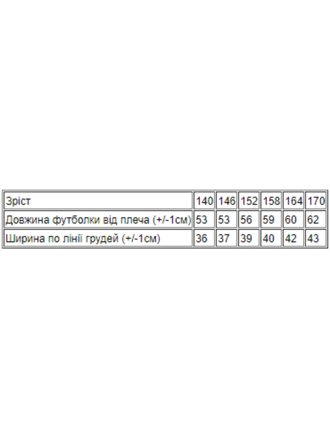 Футболки и поло Носи своє модель 6021-002-4-mkk Фото