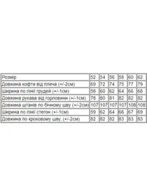 Костюми Носи своє модель 8092-057-33-1-chornilxno-sinj-indigo Фото