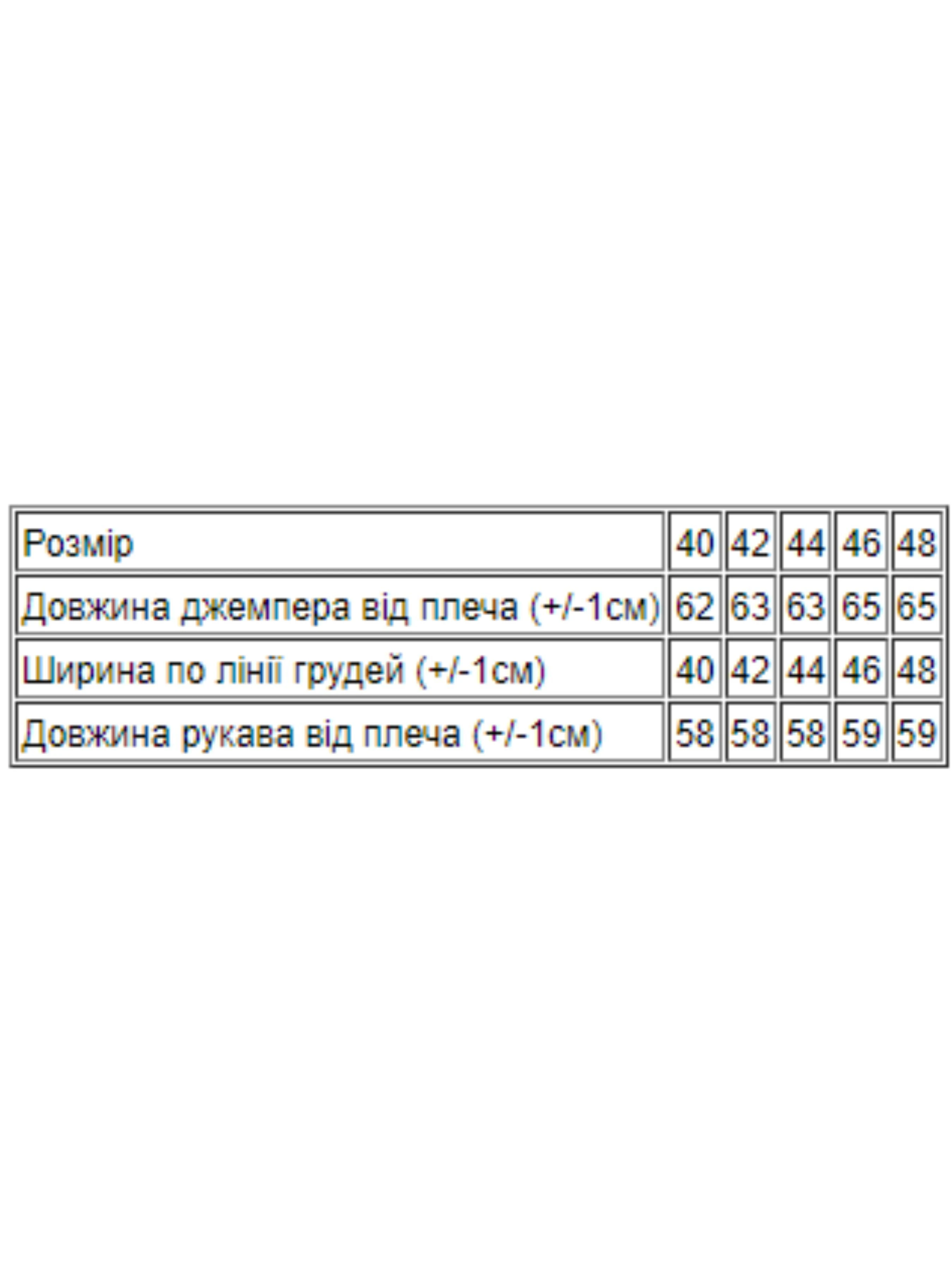 Жіноча Блуза Носи своє фото 2