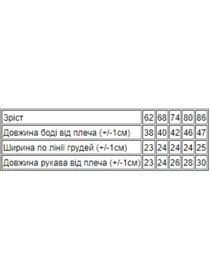 Одяг для немовлят Носи своє модель 5043-015-33-bryuza-dno Фото
