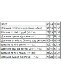 Одяг для немовлят Носи своє модель 5055-016-33-5-smuzhka-foletovij Фото