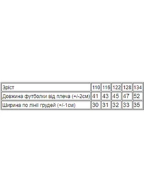 Футболки и поло Носи своє модель 6021-3-chornij-mkk Фото