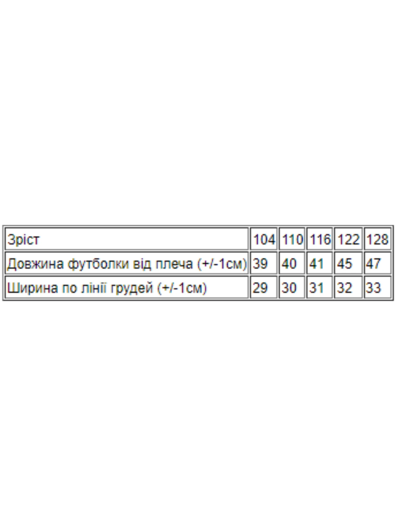 Футболки и поло Носи своє модель 6021-9-morozivo Футболки и поло Носи своє модель 6021-9-morozivo Фото
