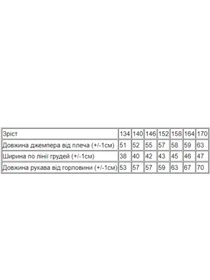 Худі та світшоти Носи своє модель 6235-025-33-chornij-strong Фото