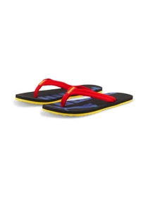 Шлёпанцы PUMA Epic Flip v2 модель 360248 Фото