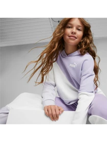 Худи и свитшоты PUMA Power Cat Hoodie Tr G модель 673548 Фото