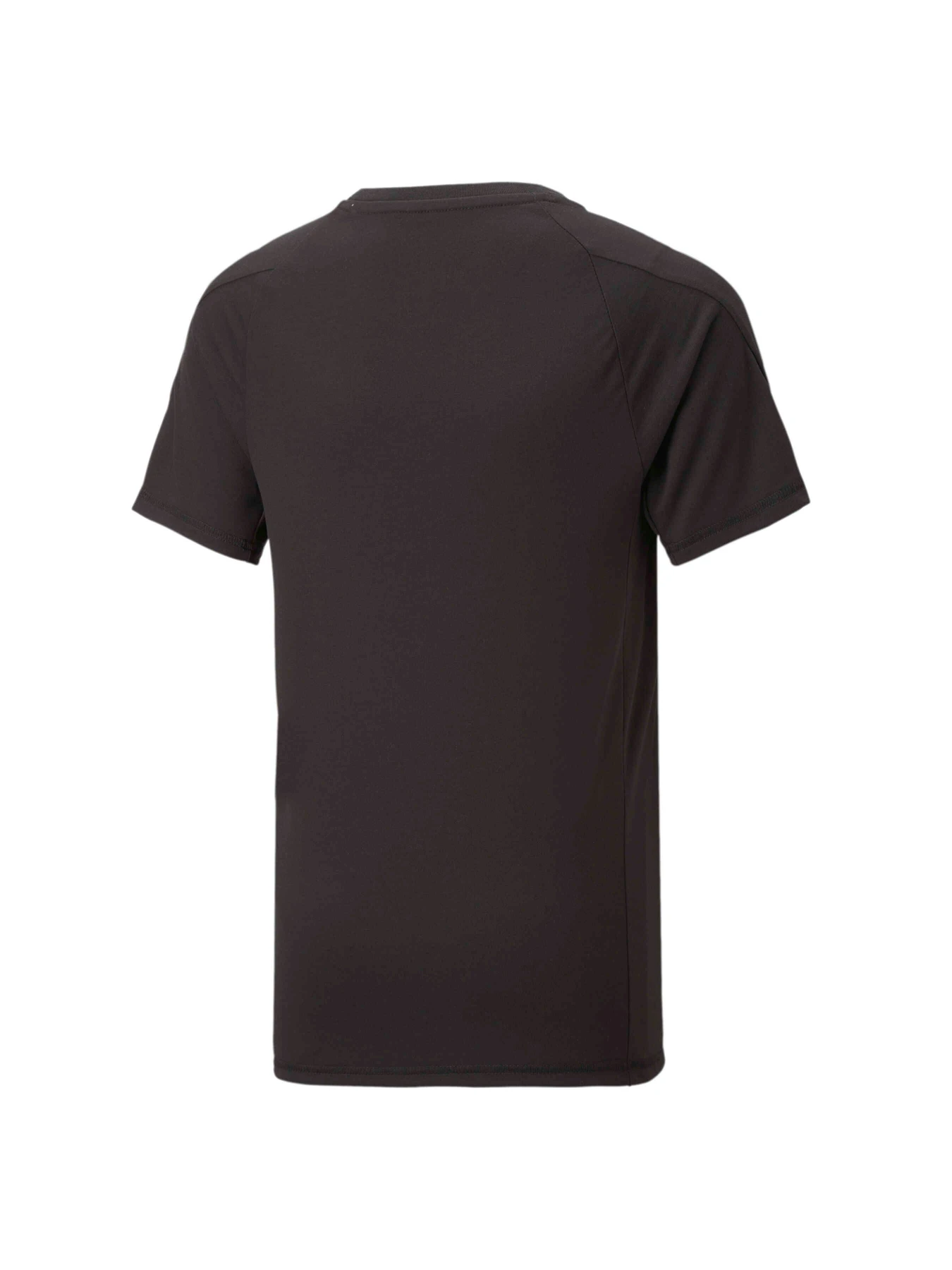Футболки и поло PUMA Evostripe Tee модель 673187 Футболки и поло PUMA Evostripe Tee модель 673187 Фото